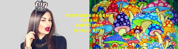 круглые Алексеевка