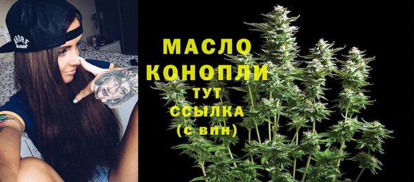 СК Алексин