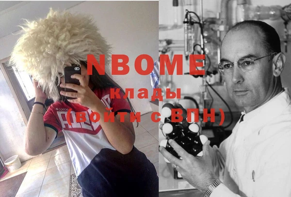гидропоника Алзамай