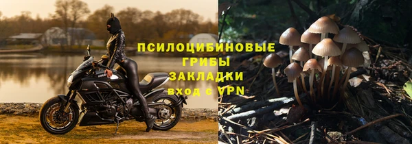 круглые Алексеевка