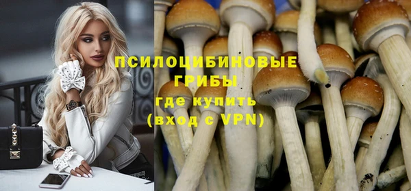 круглые Алексеевка